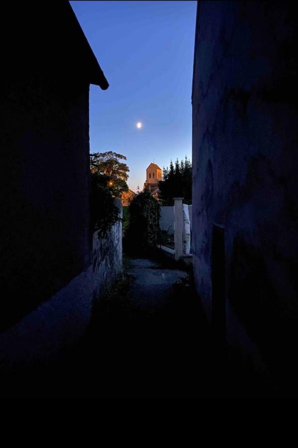 Studio La Promenade Sisley Daire Saint-Mammès Dış mekan fotoğraf